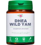 DHEA Wild Yam 300 mg na prodej - Hormon mládí, přírodní elixír - tabletky krásy - Účinky: Krásná pleť, vlasy, omlazení a hubnutí - Koupit za akční cenu 1 balení